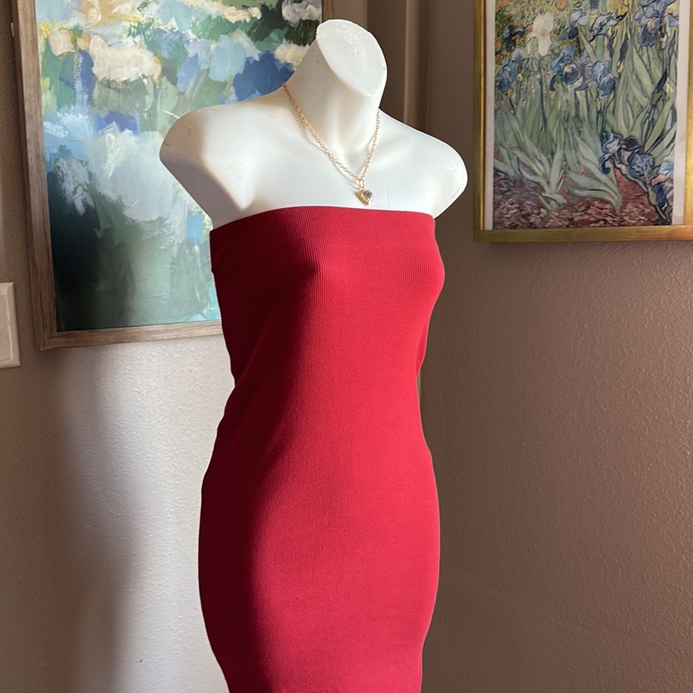 ZARA Red Bodycon Tube Sleeveless Dress NWT